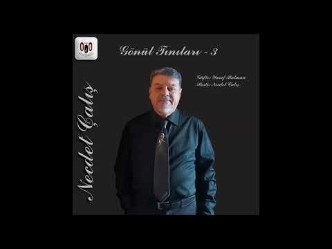 ♧ Bir Pınar ki Gözyaşlarım la Dolu - Necdet Çalış