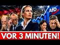 Politik-Schock in Deutschland: AfD erreicht Rekordwerte – Altparteien in Panik!