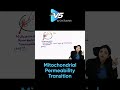 Reversible vs Irreversible Cell Injury| Mitochondrial Permeability Transition |  Dr. Vandana Puri