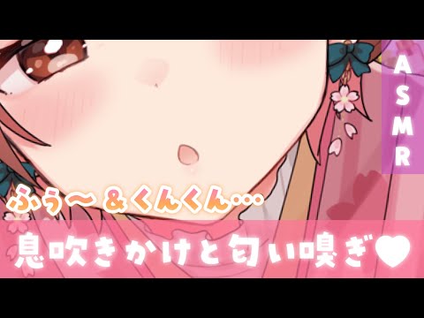 【ASMR】思わず腰が浮いちゃう...?くんくん匂い嗅ぎとお耳ふぅふぅ💗[Smell sniffing and blowing in your ears]