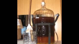 Brew 02 - Honey Hefeweizen Time Lapse