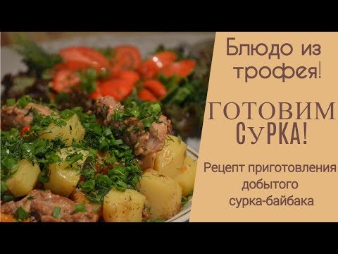 Как приготовить мясо сурка в домашних условиях видео