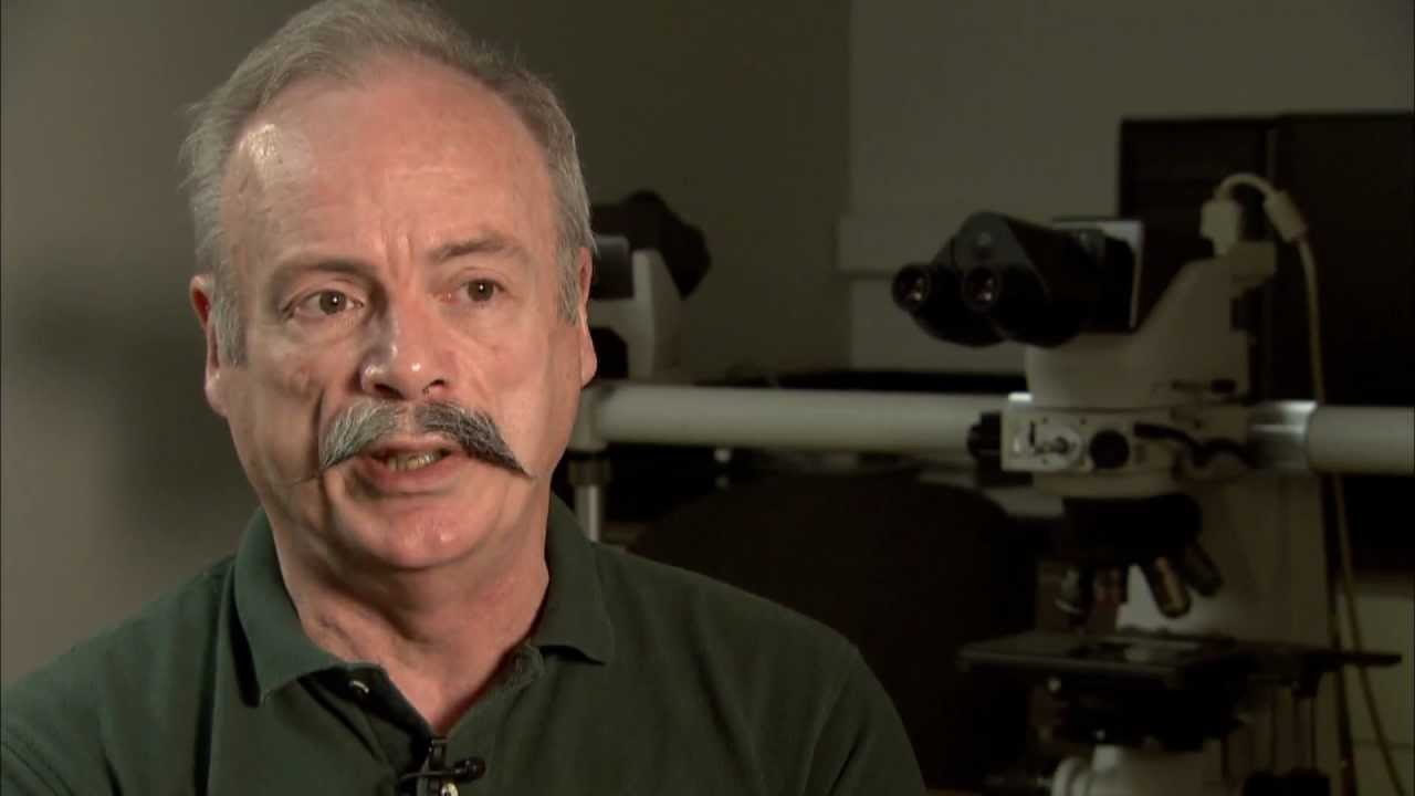 National Wildlife Health Center Investigates: Science on the SPOT - YouTube