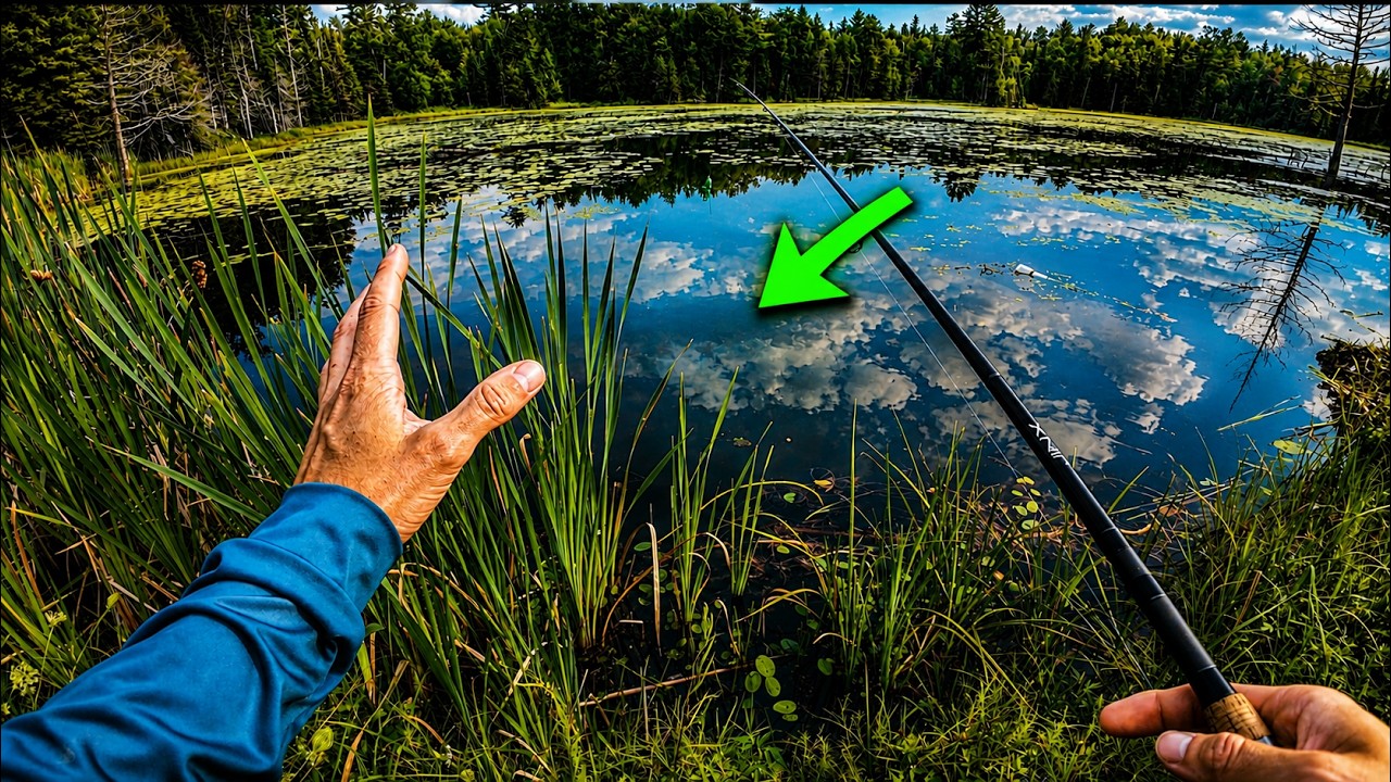 Je test des Spots de Pêche au Bord de la Route!