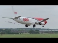 ASL Airlines Belgium Boeing 737 OE-IBZ and logistics of racehorse transport