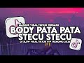 DJ BODY PATA PATA X STECU STECU SLOW VIRAL TIKTOK FULL SONG MAMAN FVNDY 2026