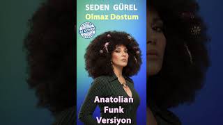 Seden Gürel - Olmaz Dostum 1964 Anatolian Funk Versiyon (Ai Cover) Üzik Üzik