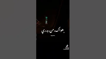 ومن اول لما شوفت عنيك وانا قلبي مسلم ليك منور دنيتي بحالها Nour Eltot Official 
