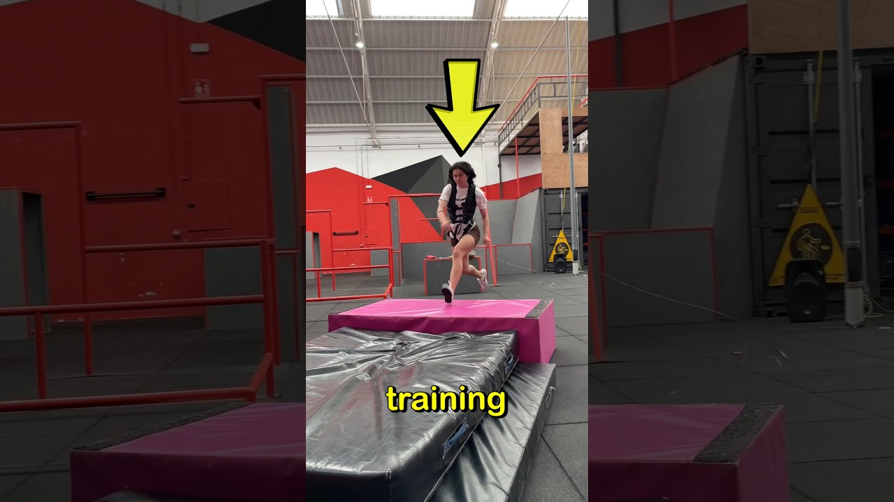 Stunt Training School