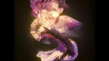 Thomas Attraktor Madness - Create with Attraktors Designer for TouchDesigner