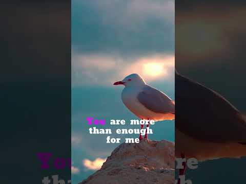 Embrace Of Love In Stillness 