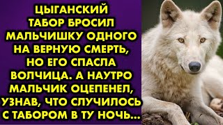 картинка: Цыганский табор бросил мальчишку одного на верную смерть, но его спасла волчица. А наутро мальчик…