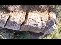DJALIL PALERMO bay bay salam جليل باليرمو باي باي سلام mp3