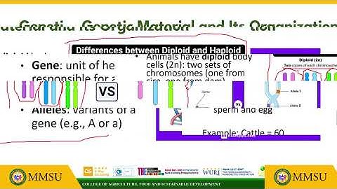 The Mechanics of Inheritance