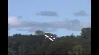 Eugene RC Aeronauts AeroBeez Monster Fest 2013 AeroBeez 48" Sbach Elec Foamy