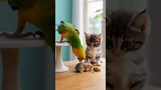 When A Kitten, A Parrot, And A Hamster Meet Too Cute To Handle