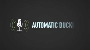 Ducking — Ferrite Recording Studio