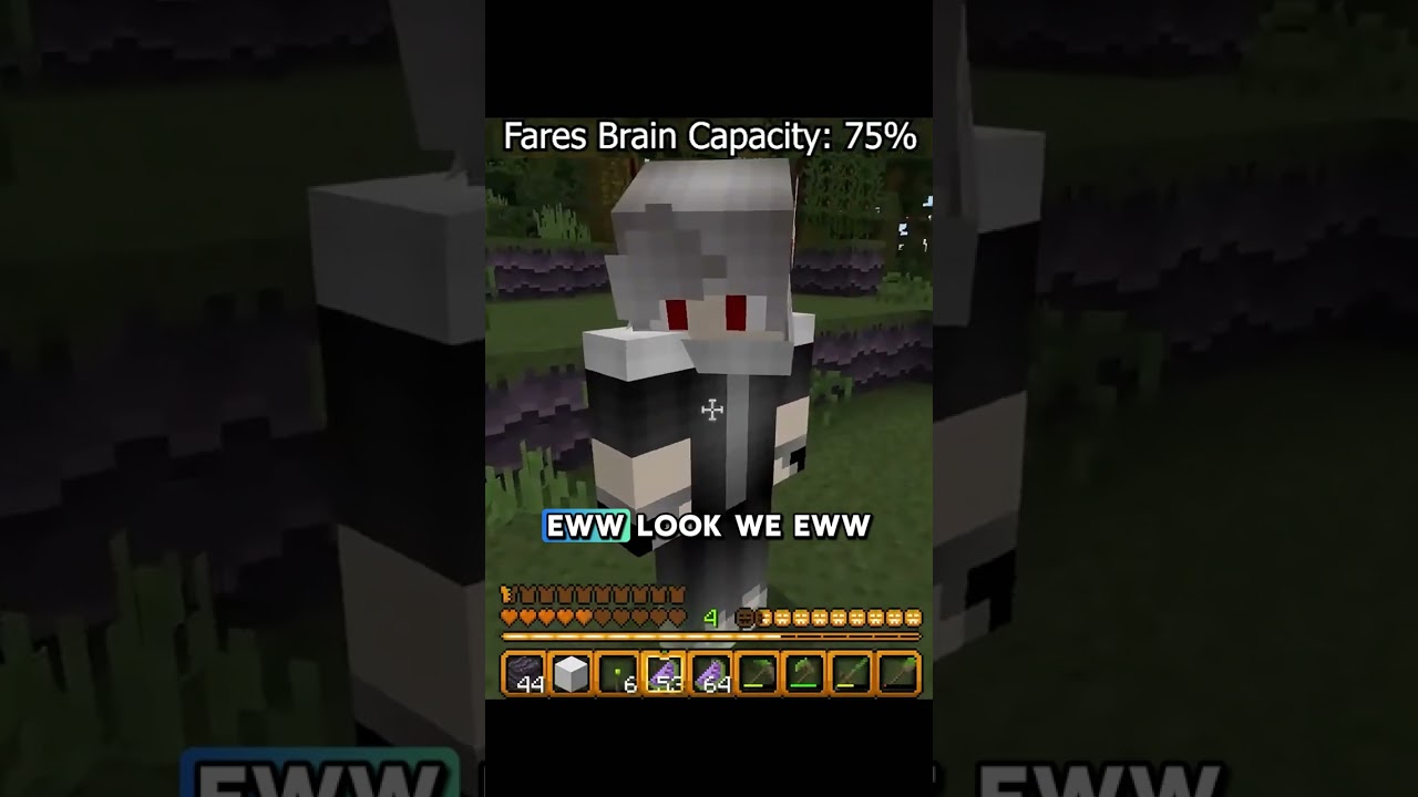 First on Minecraft with Fares #Minecraft #YouTuber #Smallstreamer #gaming #gamergirl