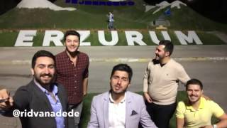 Deli Bile - Rıdvan Adede Resimi