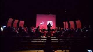 A Video Game Symphony