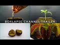Boxlapse Channel Trailer