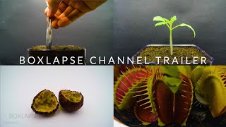 Boxlapse Channel Trailer