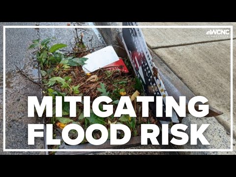 How you can mitigate flooding and help water quality in your own ...