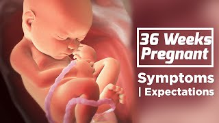 36 Weeks Pregnant | Pregnancy Week By Week Symptoms | Care Tips For Pregnant Lady