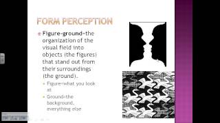 Celebrity Perception Part 1 Net Worth