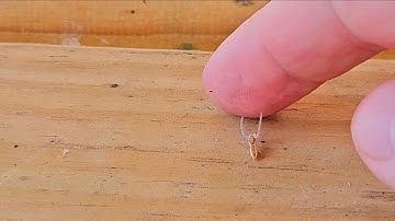 Making friends with a small spider at the park. 