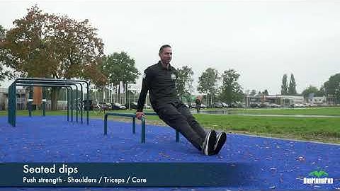 BarManiaPro workouts - Low parallel bar exercises