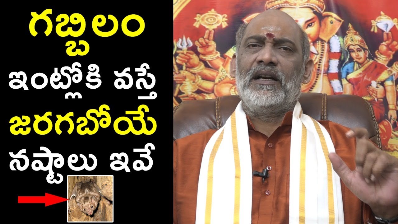 గబ్బిలం ఇంట్లోకి వస్తే | Gabbilam Intloki Vaste Doshama | QubeTV Devotional