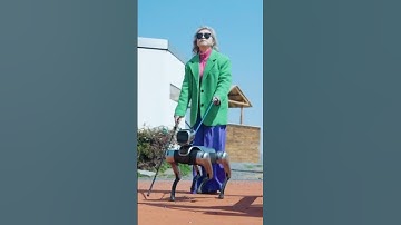 🐶Incredible! A Robotic Guide Dog Leading the Way! #Innovation #TechnologyForGood #helpinghands