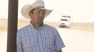 Hereford Genetics Sustain Through The Dry Season