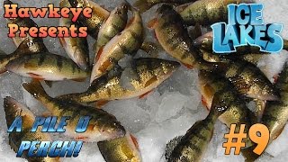 Ice Lakes - Ep. #9 - A Pile O' Perch!