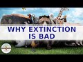 Understanding Extinction and Conservation