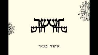 Video thumbnail of "אהוד בנאי - אודה לאל"