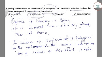 IIT JAM BIOTECHNOLOGY 3 COMPLETE SOLUTION 9836793076 MCQ TRICKS