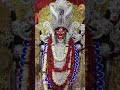 Joy maa kali #kolkatamaakali #bengolivlog #enjoywithshivani  #ytshorts #youtubeshorts #shortvideo