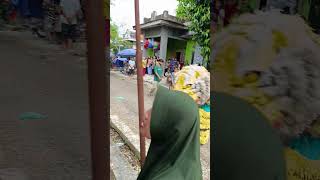 Ada Macan Nyari Makan awaswahyanastory