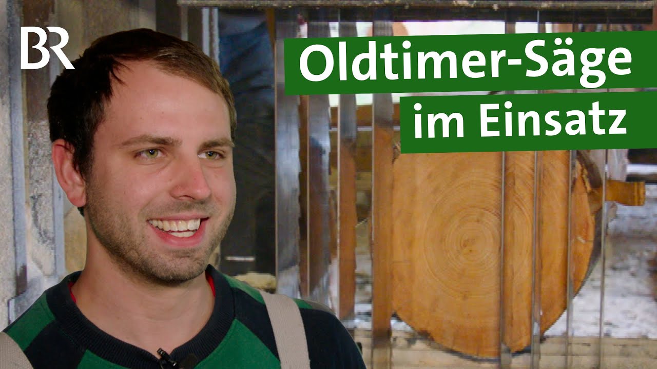 Zapfenschnitt I Windwurfaufarbeitung I Spezialtechnik I Holz in Spannung