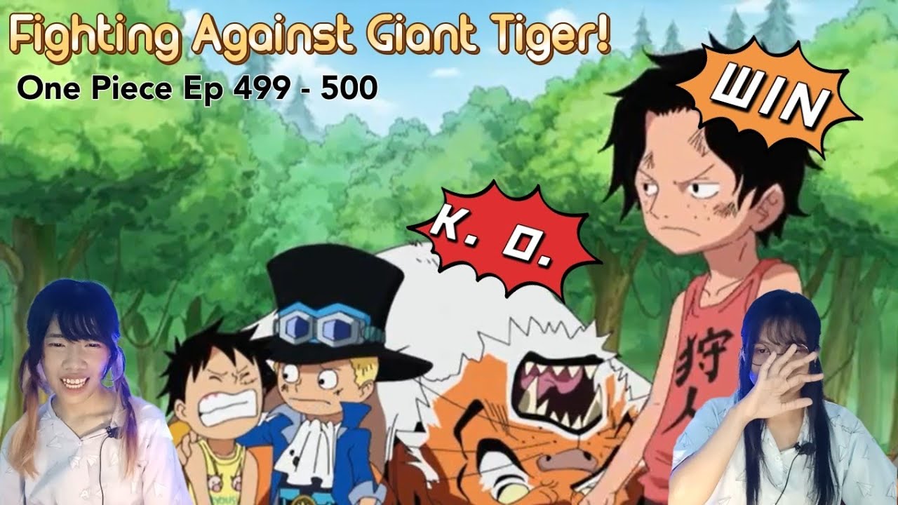 Fighting Giant Tiger One Piece Reaction Ep 499 500 Youtube