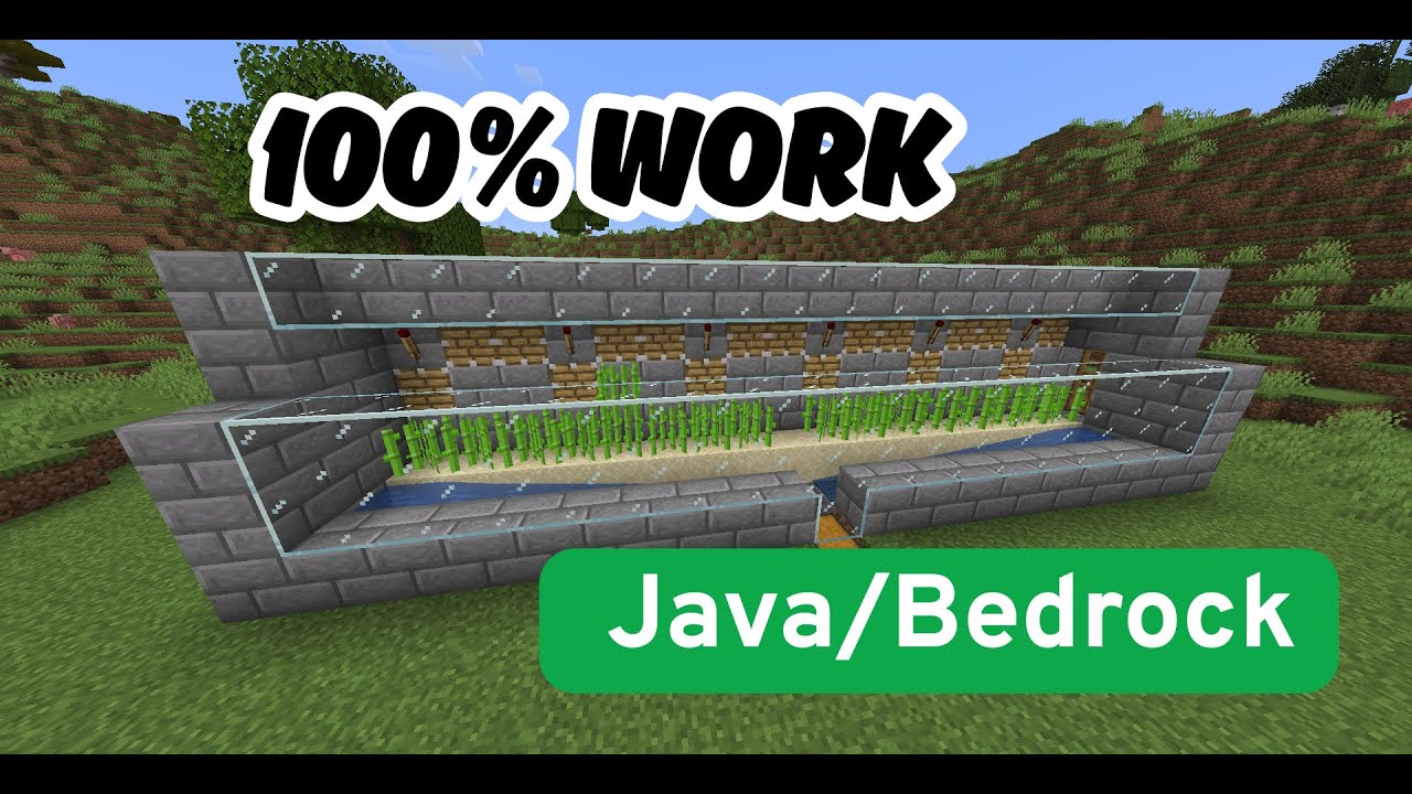 How to Build an Automatic Sugar Cane Farm in Minecraft (Java/Bedrock ...