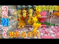 【クレーンゲーム】アグモン救出を諦めかけた時、奇跡が起きました!! #cranegame