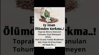 🤲 #amin #dua #duaet #duaa #ilahirahmet #rahmet #rahim #viral #video #keşfetbeniöneçıkar #keşfet