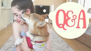 My New Job in Korea & How I Made Friends Here||Q&A