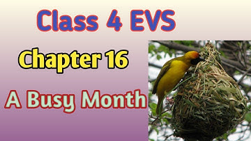 A Busy Month II Class 4 EVS Chapter 16