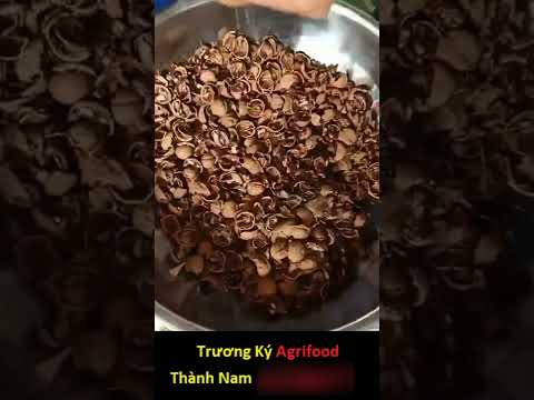 Video Máy tách hạt óc chó và macca ll BÍCH NGUYỆT 0909514584 - youtube