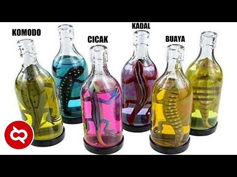 Video: Minuman Paling Berbahaya
