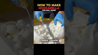 How to make Mozzarella Cheese! - Mozzarella Cheese Production How to make Mozzarella Cheese! - Mozzarella Cheese Production